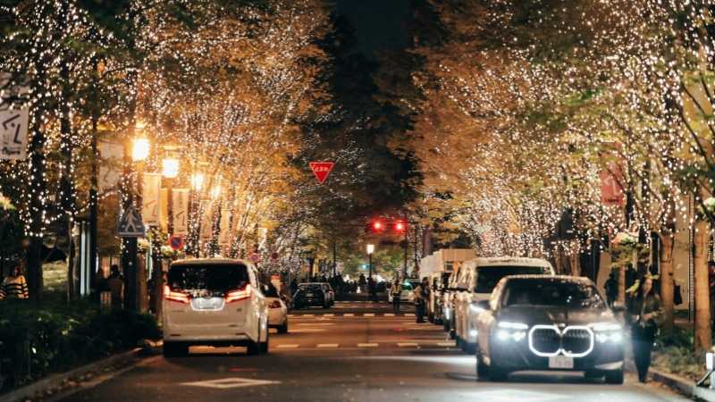 Tokyo winter illumination at Marunouchi Naka-dori Avenue