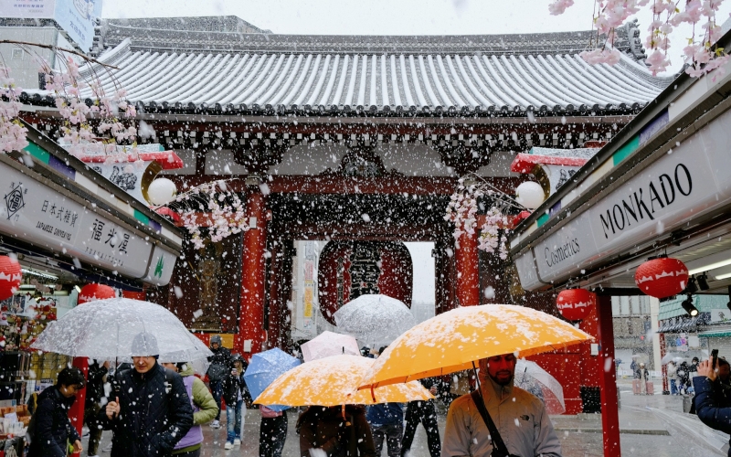 You might experience snow in Tokyo in late January.
