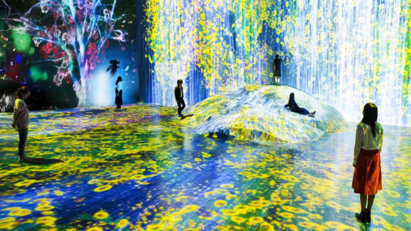 A stunning digital art experience at TeamLab Tokyo.