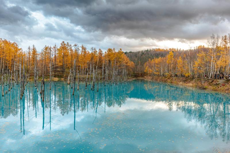 The Biei Blue Pond in Hokkaido in October, during the deep autumn season.