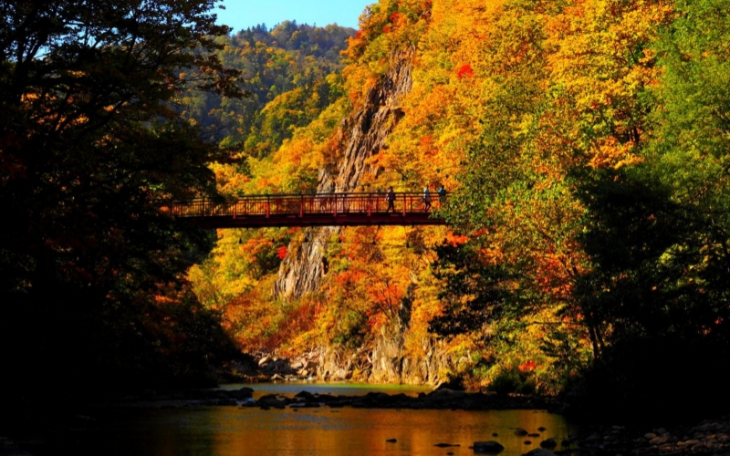 A iconic view of the red Futami Suspension Bridge in Jozankei, surrounded by brilliant autumn foliage and rocky cliffs.