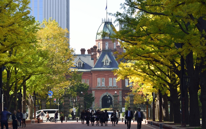 The historic Former Hokkaido Government Office (Red Brick Office) framed by lush ginkgo trees beginning to turn golden in early October along Sapporo Kita 3-jo Plaza.