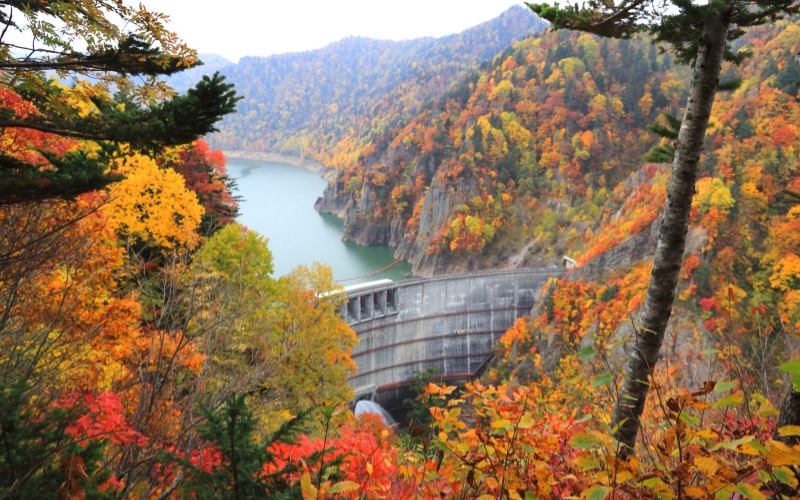 A panoramic high-angle view of Hoheikyo Dam nestled among mountains blanketed in vibrant red, orange, and gold autumn foliage.