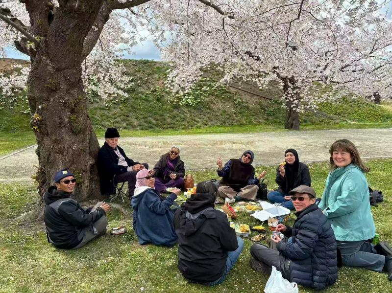 UME Travel guests enjoying a peaceful cherry blossom picnic during a less-crowded Japan sakura itinerary