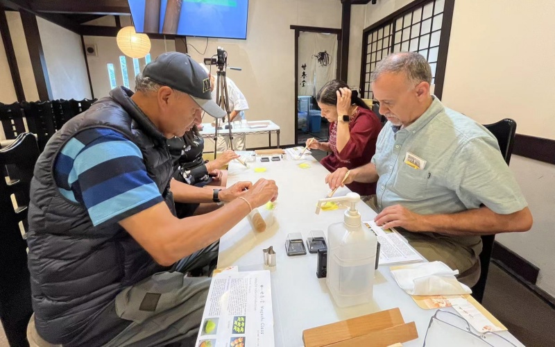 Senior Friendly Wagashi Making Class Japan
