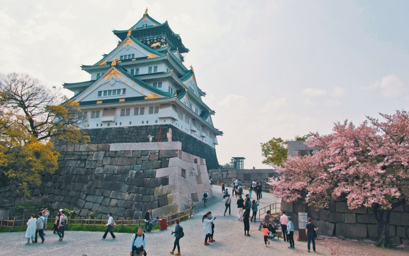 In April, Osaka Castle's cherry blossoms are in full bloom, and the crowds come with them.