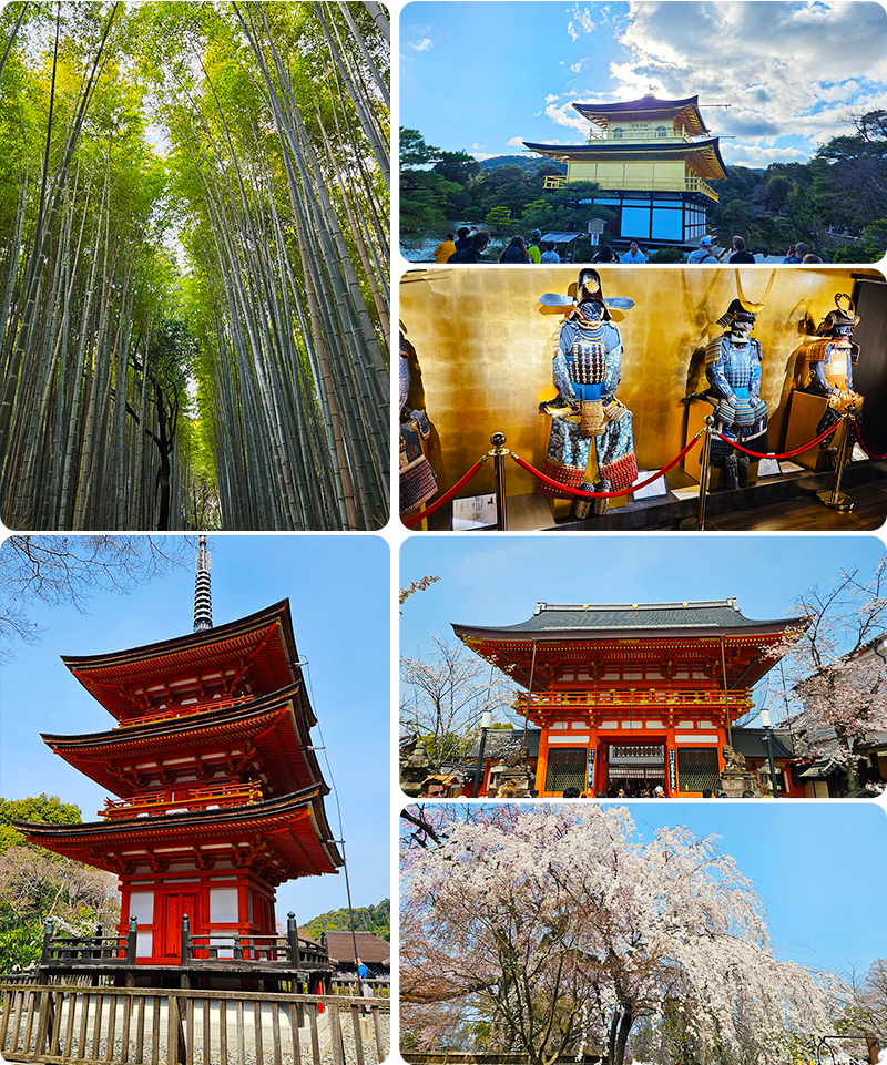 Kyoto temples, bamboo forest, samurai armor, and cherry blossoms photographed by Rob Y on his family sakura trip with UME Travel.