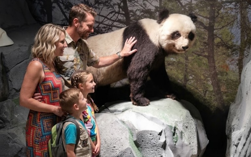 Chengdu Panda Base Family Tour UME Travel