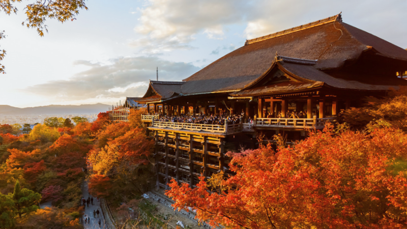 The peaking autumn foliage at Kiyomizudera Temple in Kyoto in the afternoon.