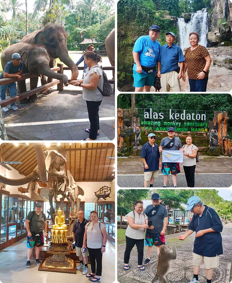 bali-ubud-elephant-monkey-tour-6384.jpg