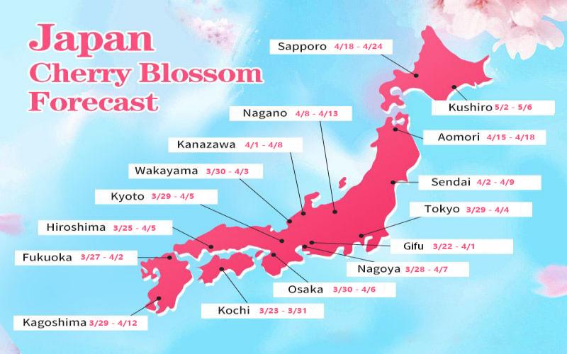 UME's Forecast Map of Japan Cherry Blossom Season 2027