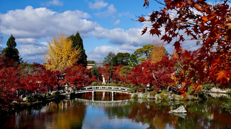 Eikando's Stunning Autumn Foliage
