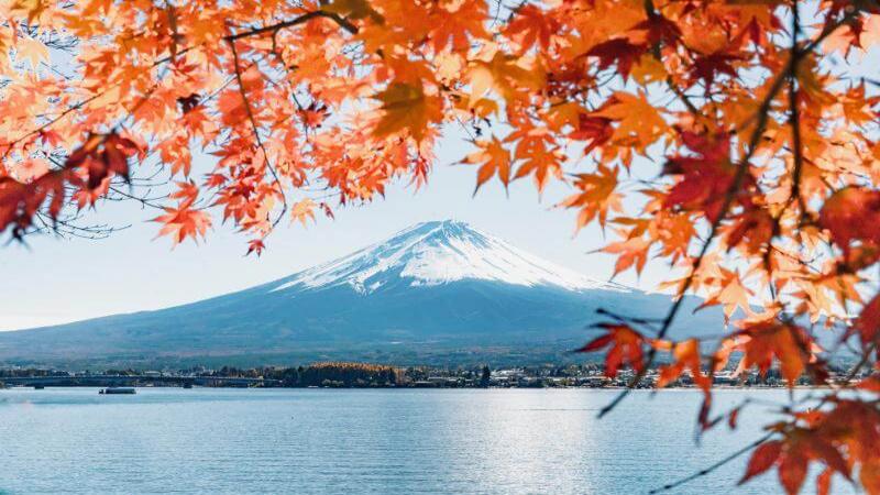 Enchanting Autumn Colors Under Mount Fuji