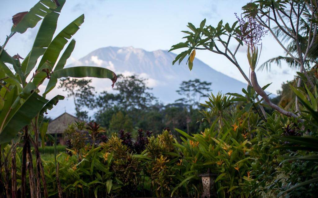 Pelangi Villas Sidemen