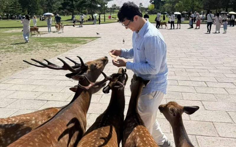 Japan Family Interest Guide: Precision-Planned Adventures for Every Passion