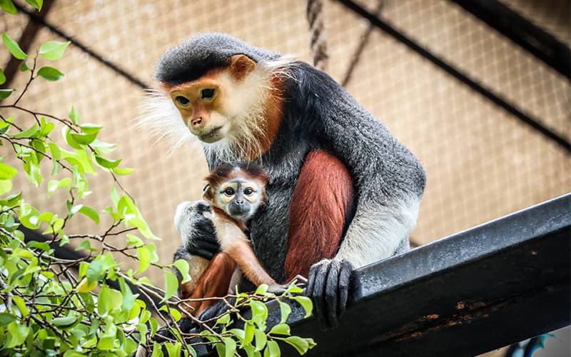 Mother and her child