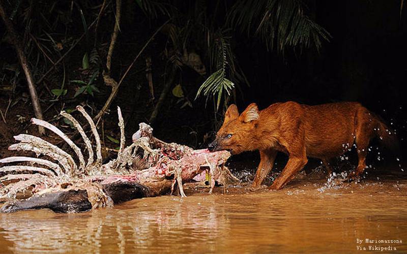 Khao Yai National Park2