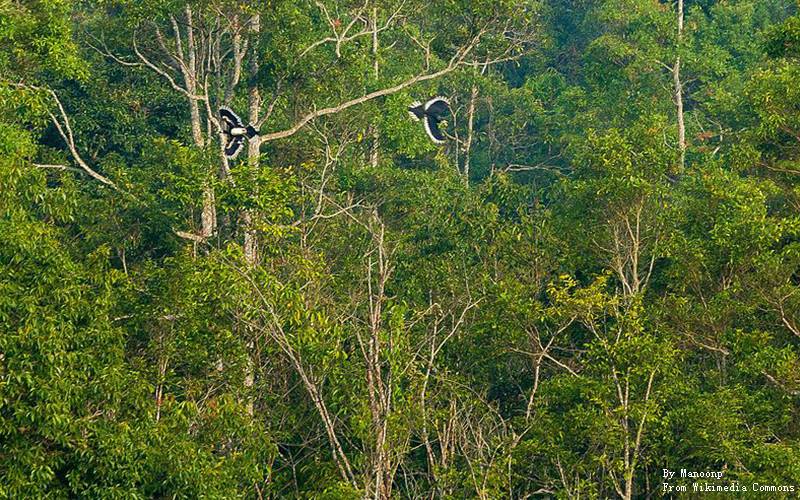 Khao Yai National Park5