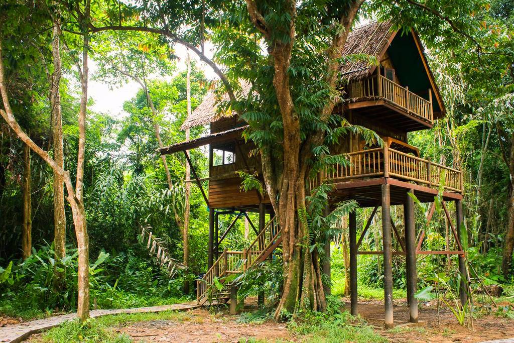 Khao Sok National Park （Tree house）
