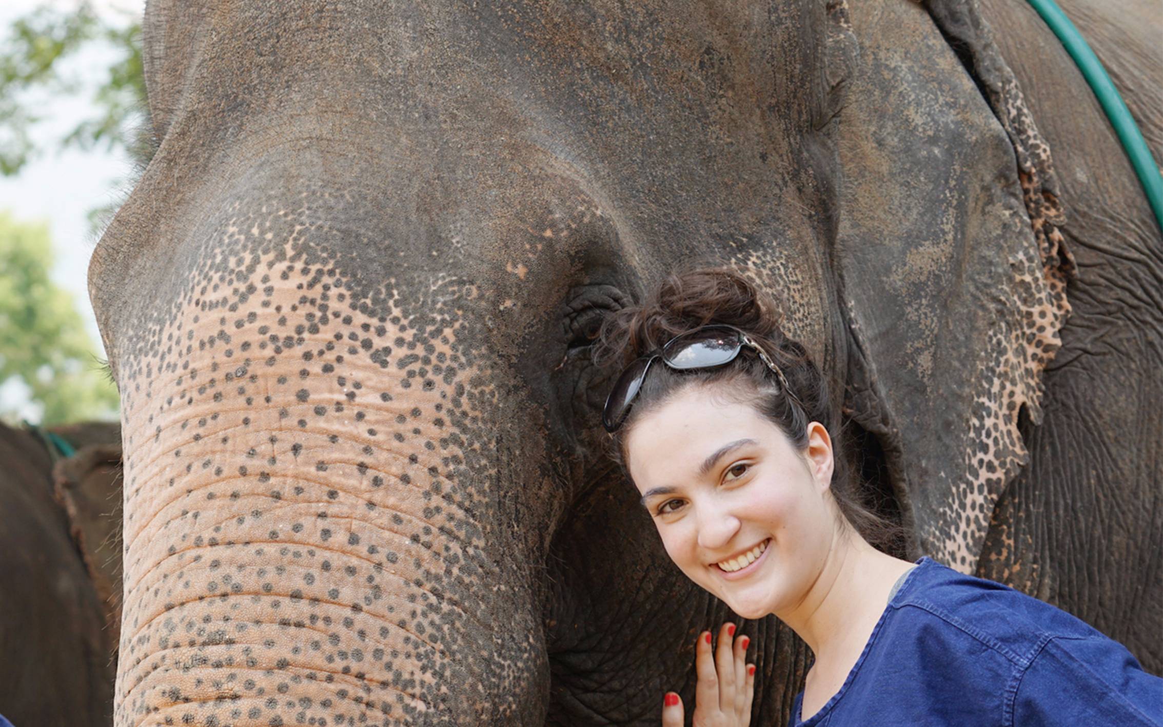 Top 10 Elephant Riding Park in Phuket Thailand