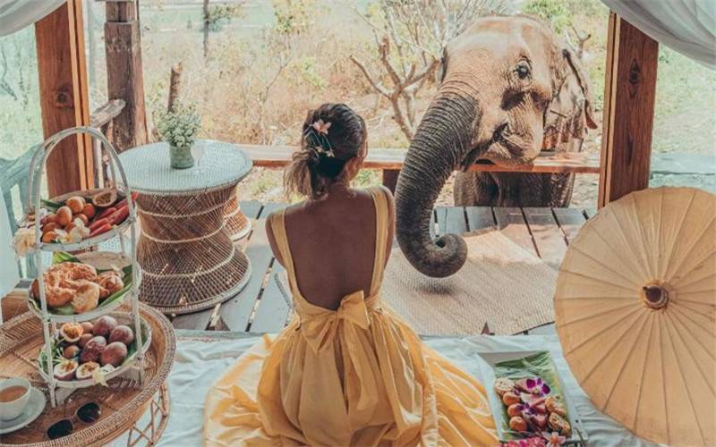 Highlights of Thailand & Elephant Eco Tour