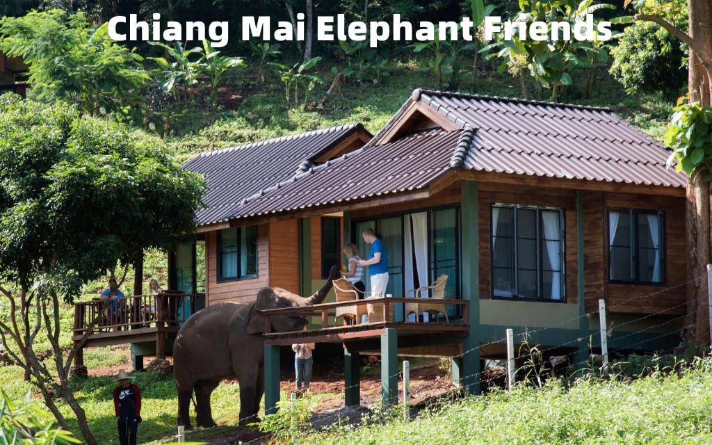 Elephant Friends Karen Camp