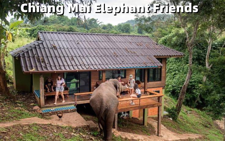 Elephant Friends Karen Camp