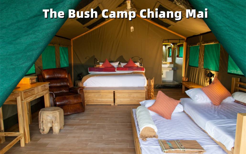 Elephant Camp Options: The Chai Lai Orchid or The Elephant Friends or The Bush Camp
