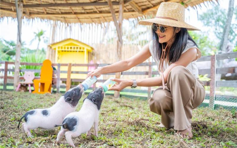 Thavorn Palm Beach Resort Phuket - SHA Extra Plus