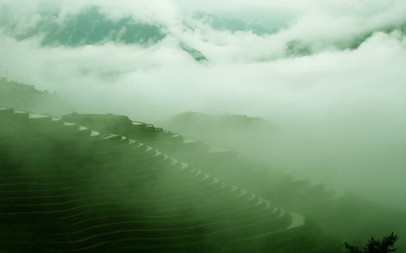 Longji Rice Terraces