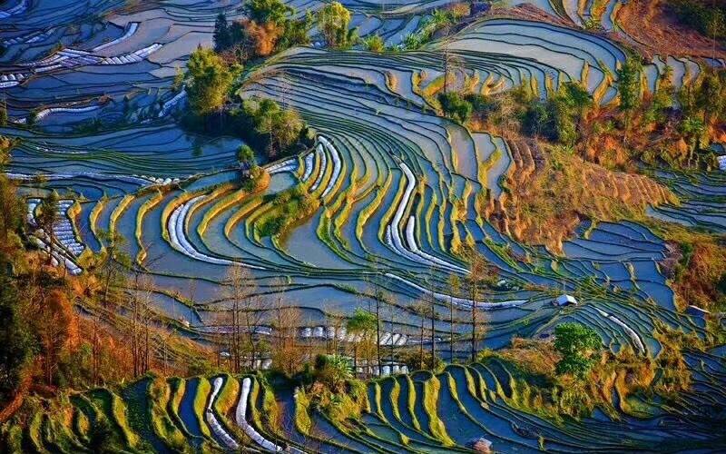 Oness Resort Yuanyang Terrace