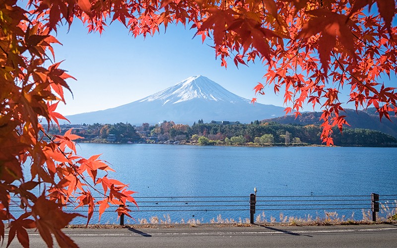 Senior-Friendly Japan Autumn Tours Guide