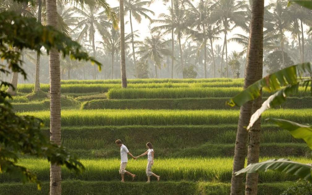 Kamandalu Ubud Resort