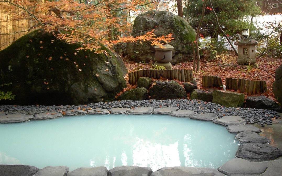 Nozowaonsen Hotel