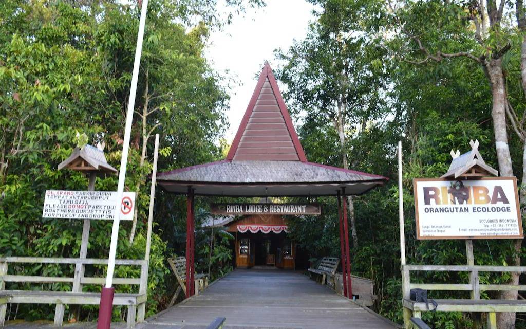 Rimba Orangutan Eco Lodge