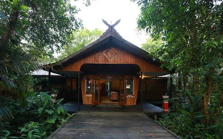 Rimba Orangutan Eco Lodge