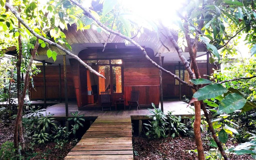 Rimba Orangutan Eco Lodge