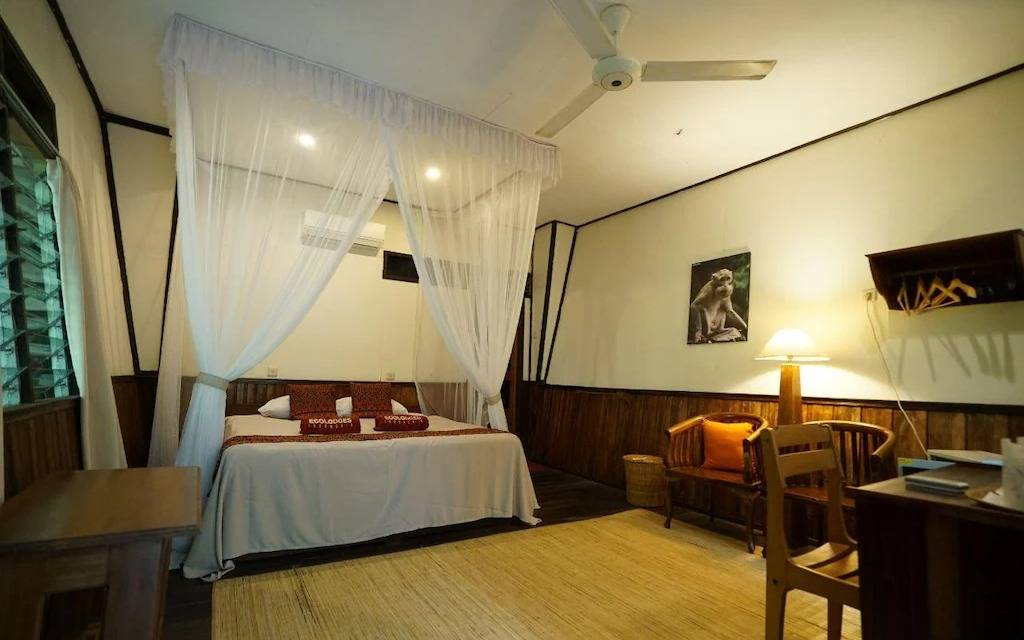 Rimba Orangutan Eco Lodge