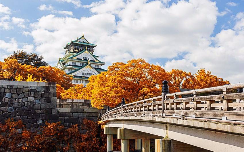 Osaka November Weather: Complete Guide to Autumn's Sweet Spot