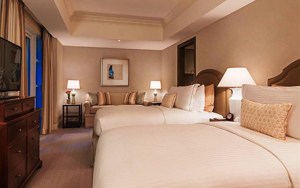 Discovery Primea