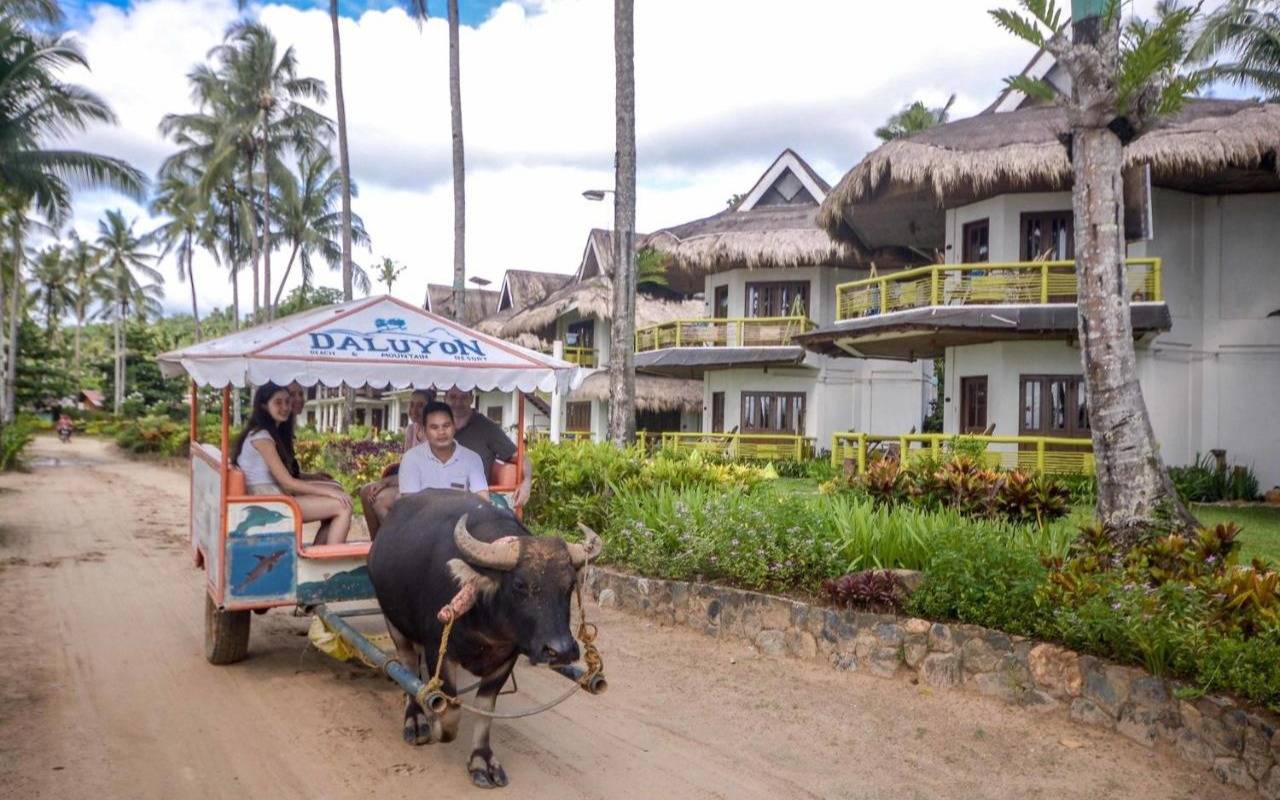 Daluyon Beach and Mountain Resort