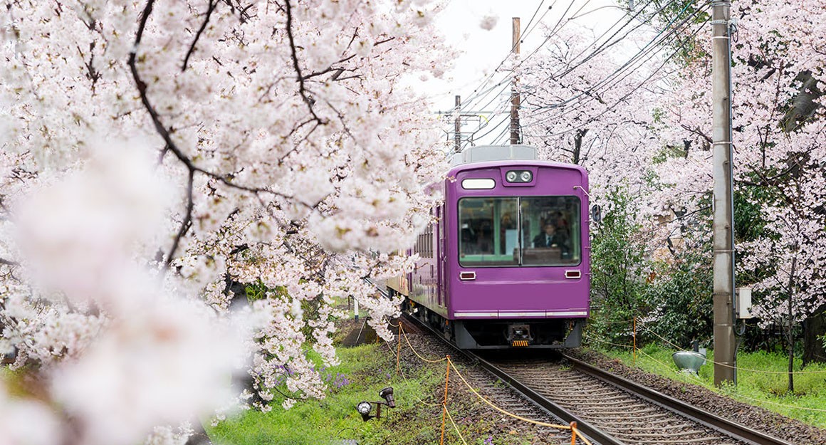 Japan Weather in April: Embrace Spring Beyond Sakura 2026