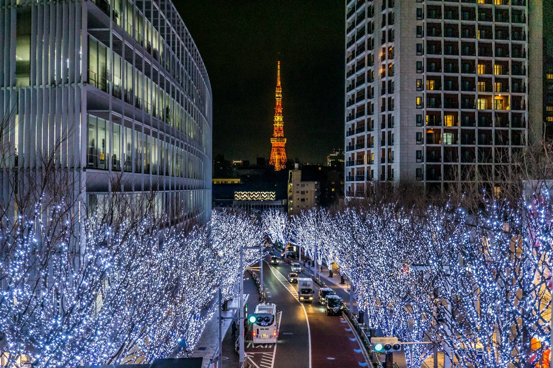 Japan Weather in December 2025: Travel Tips, Destinations & Festive Highlights