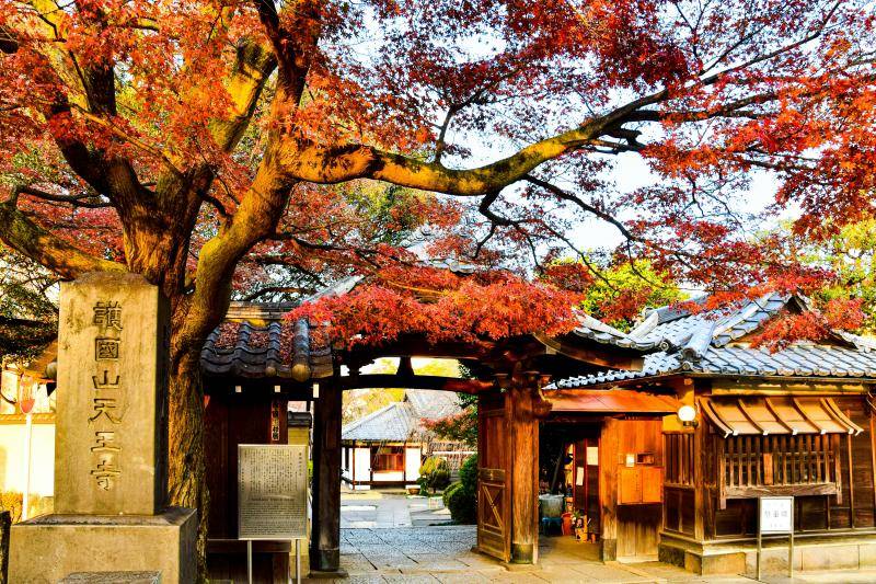 Tokyo November Weather: Foliage, Packing, & Itineraries