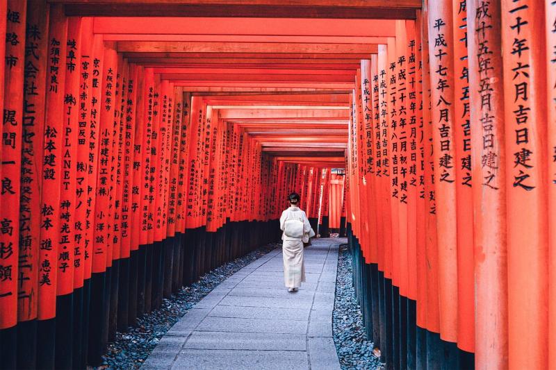 10 Days in Japan: Top 4 Itinerary Options