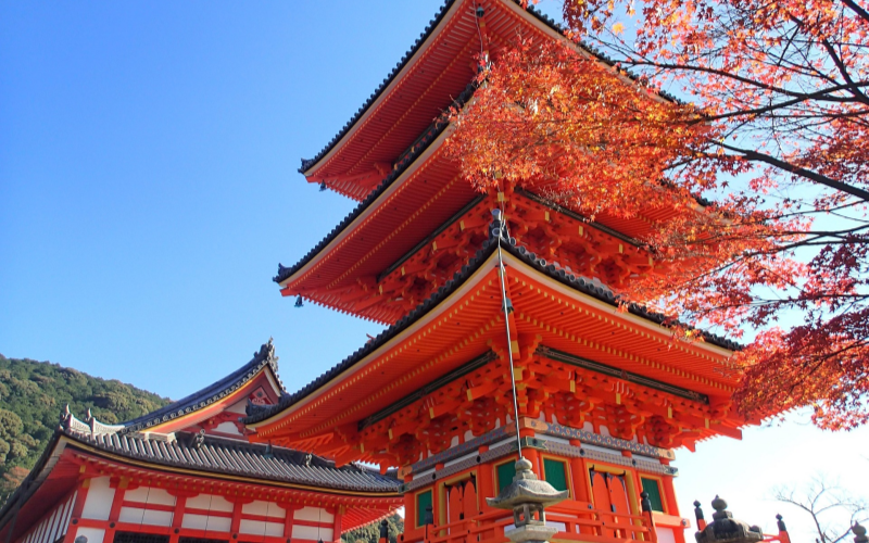 First Time in Kyoto? Your 2025 Adventure Starts Here!