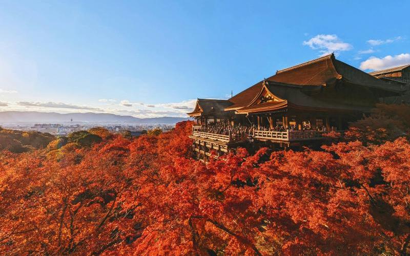 Japan Fall Foliage 2027: How to Plan the Autumn Trip You'll Actually Remember