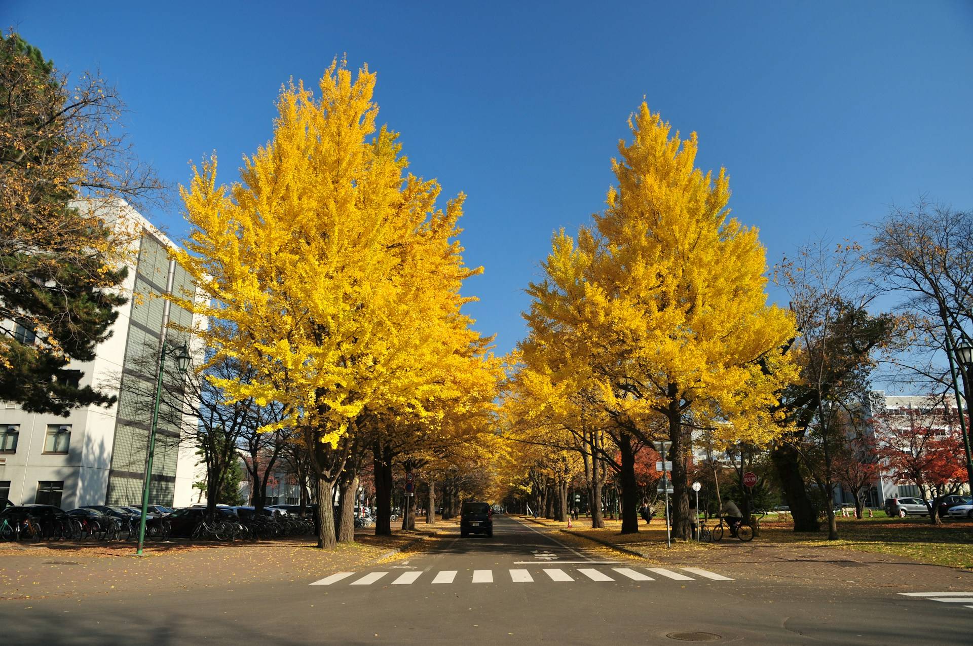 Japan Weather in October: Travel Tips, Fall Foliage & Seasonal Events 2025