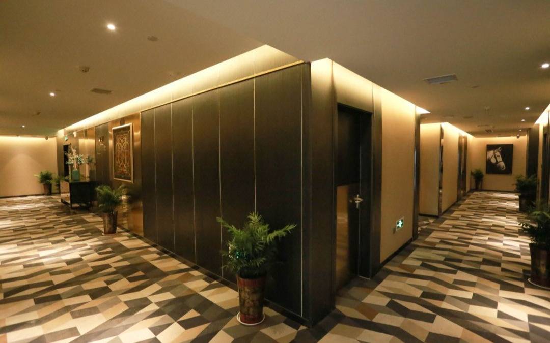 DS Hotel (Xi'an Giant Wild Goose Pagoda South Plaza)