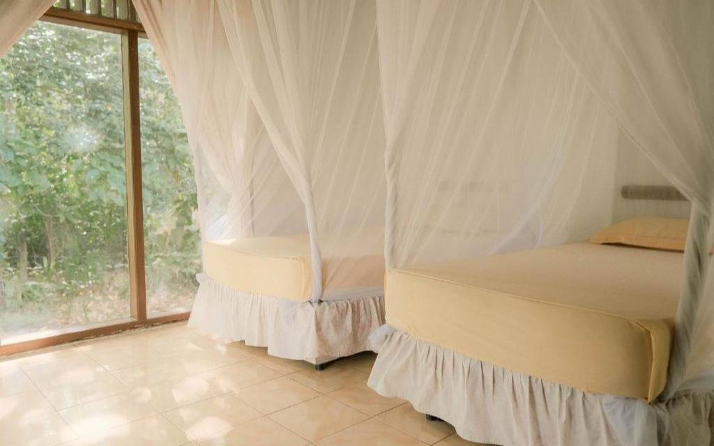 Ecolodge Bukit Lawang